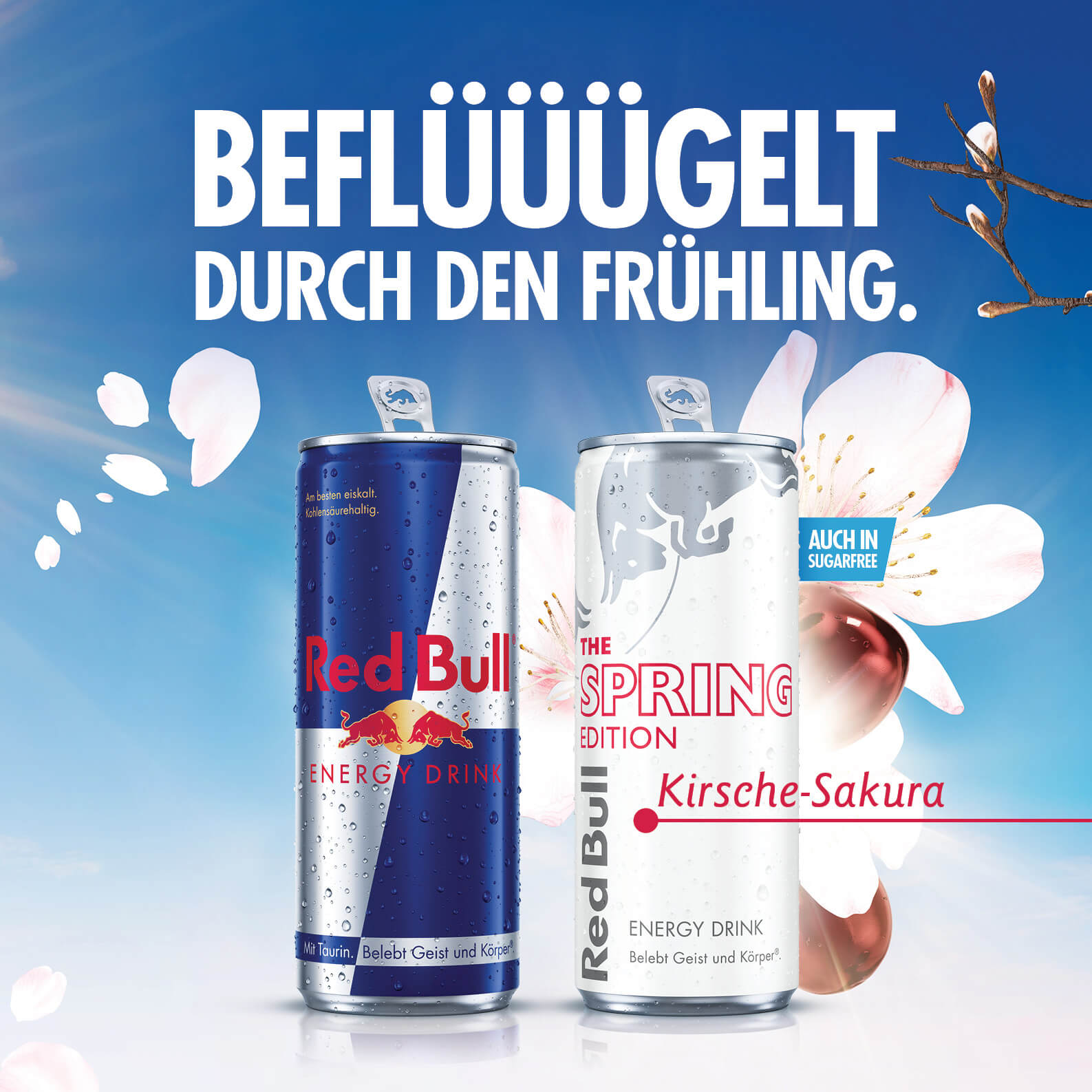 DUNKIN’: Red Bull Spring Edition Kirsche-Sakura jetzt neu im Auhof Center